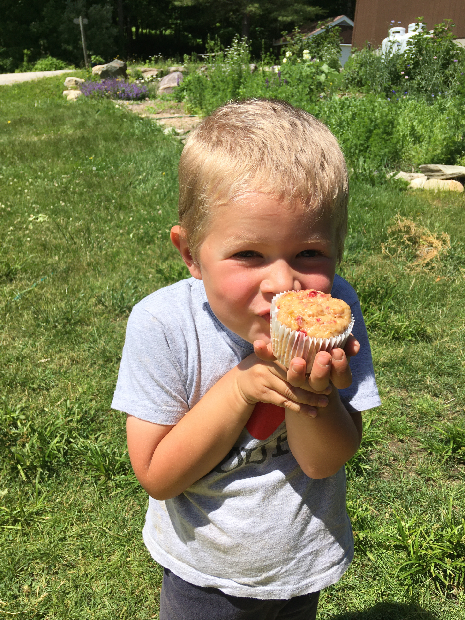 Featured image for “Strawberry Rhubarb Muffins”