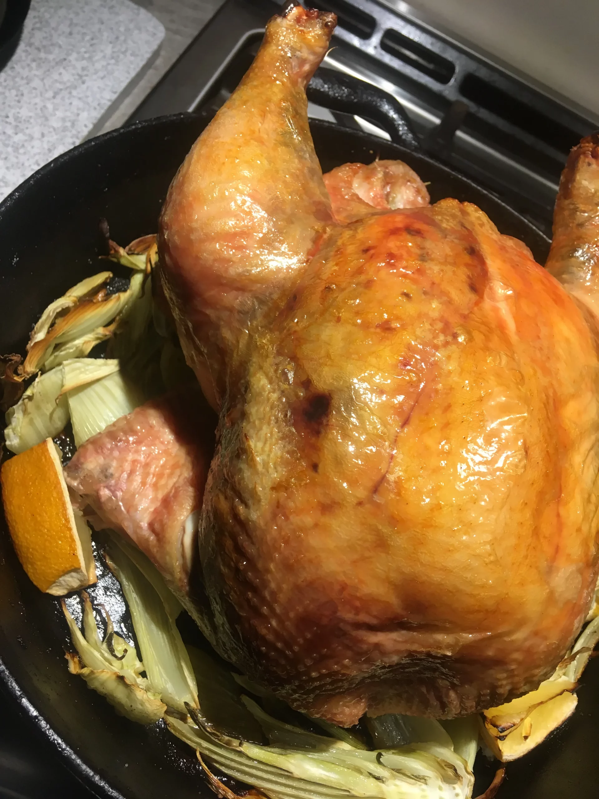 Featured image for “Roast Chicken with Fennel and Lemons”