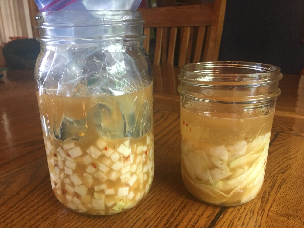 Featured image for “Spicy Fermented Kohlrabi”