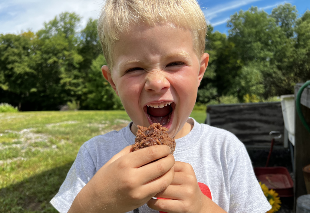 Featured image for “Chocolate Zucchini Cake”