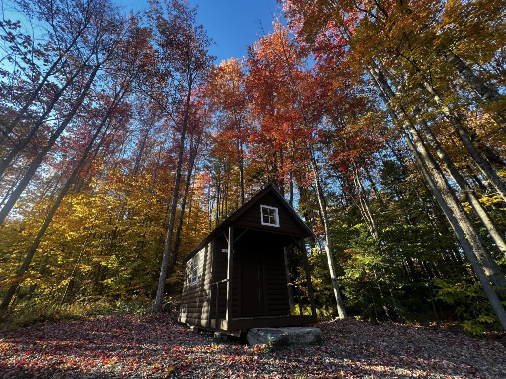 Joy Cabin
